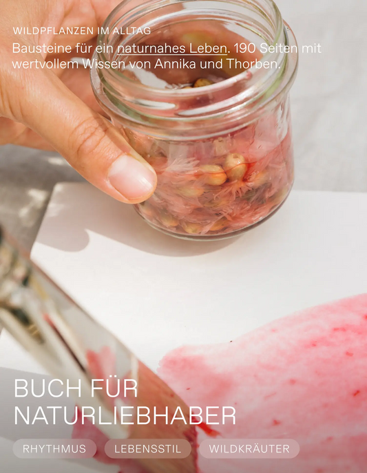 Wildpflanzen im Alltag