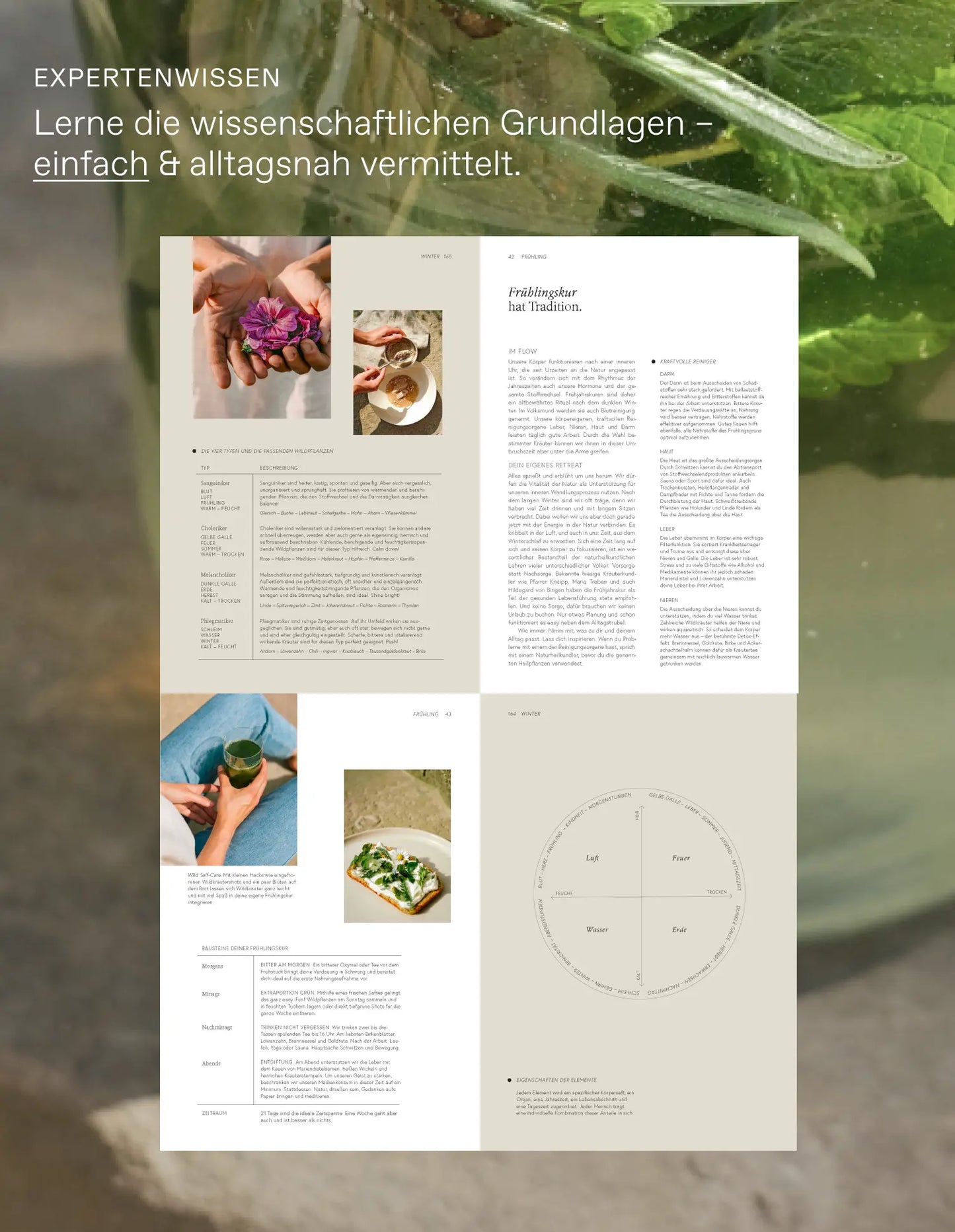 Wildpflanzen im Alltag