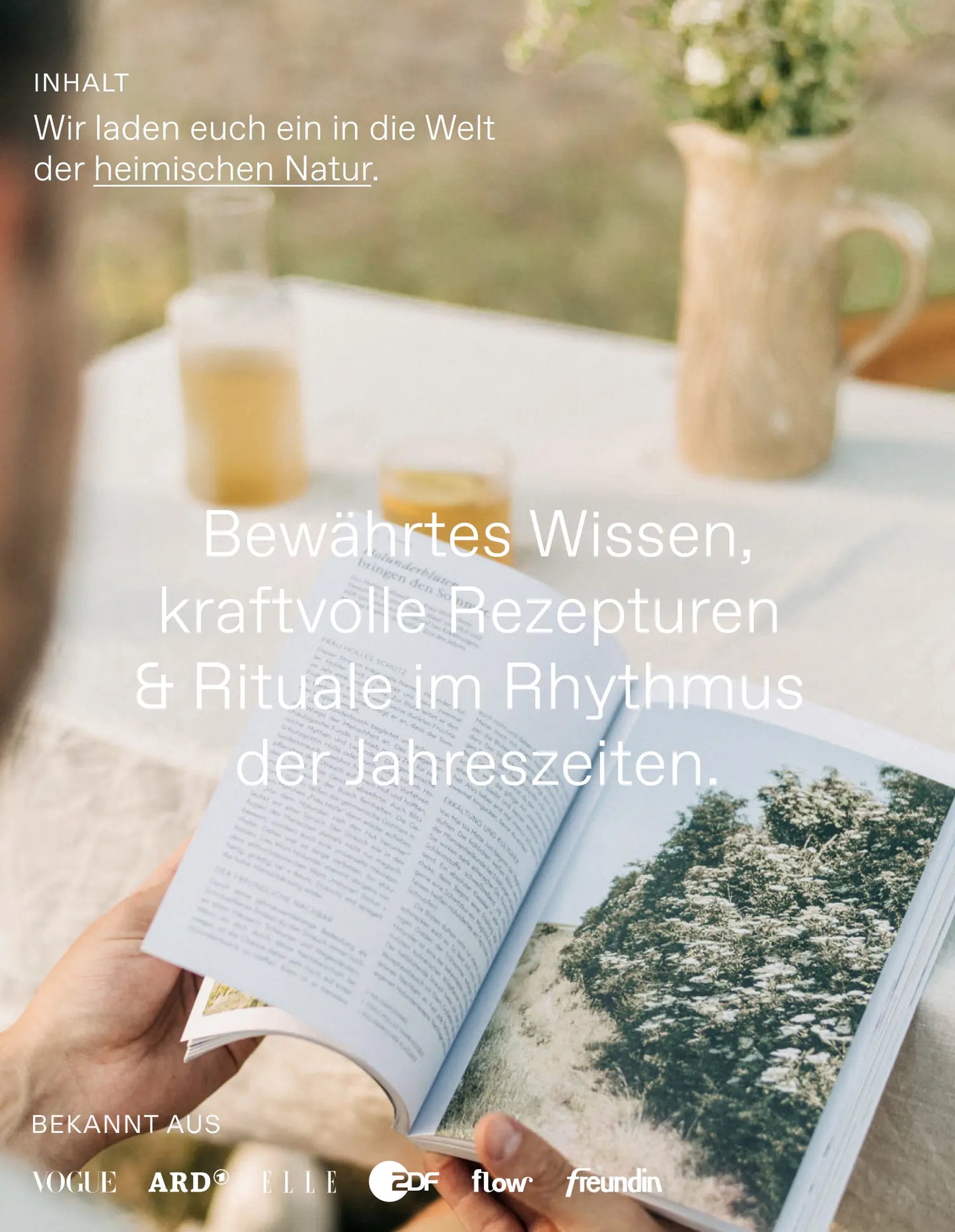 Wildpflanzen im Alltag