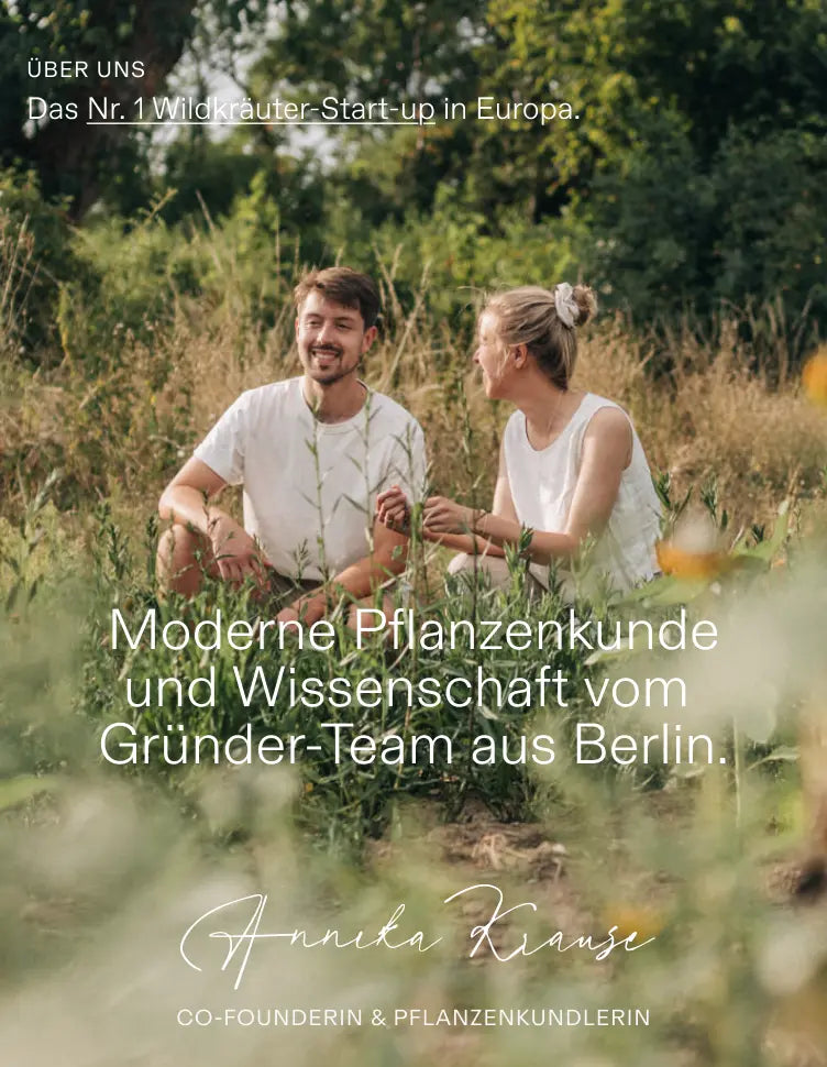 Oxymel – Die Kleinen