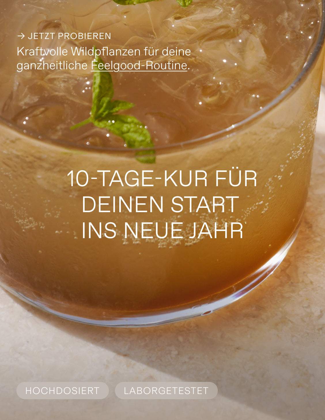 Oxymel Minze (MHD: 10.04.2026)