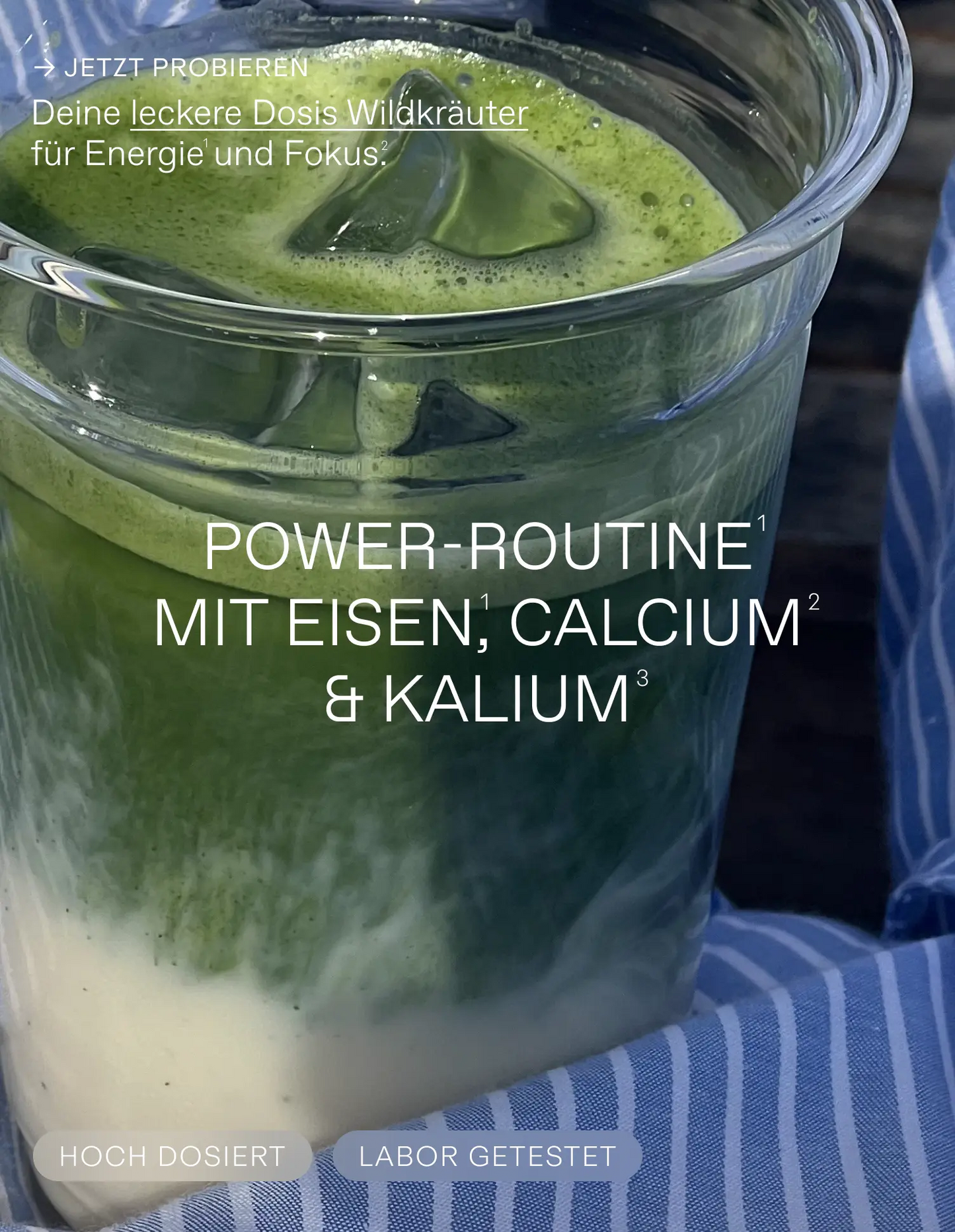 Wildpflanzenpulver Heimische Superfoods