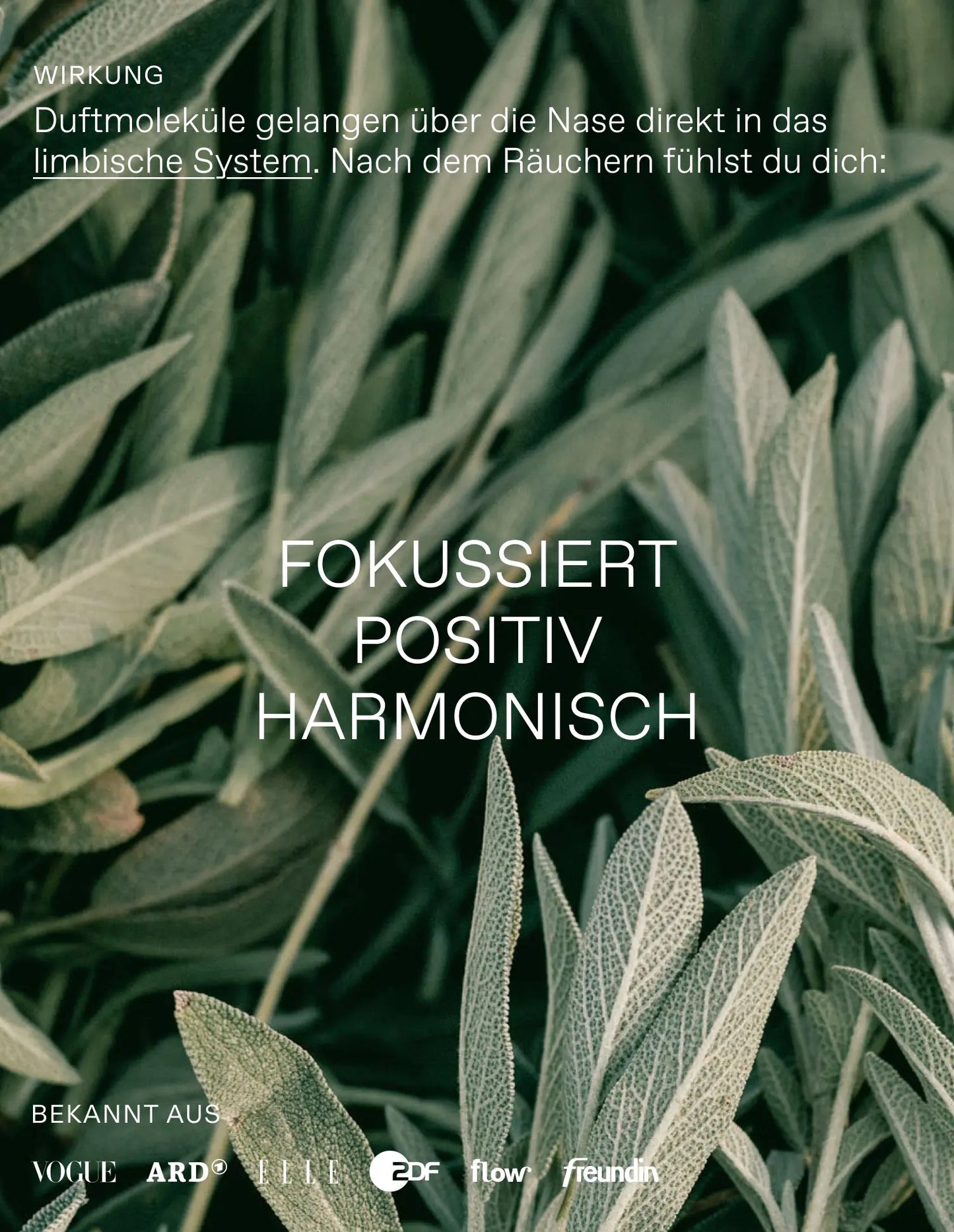 Räucherbündel Fresh Vibes