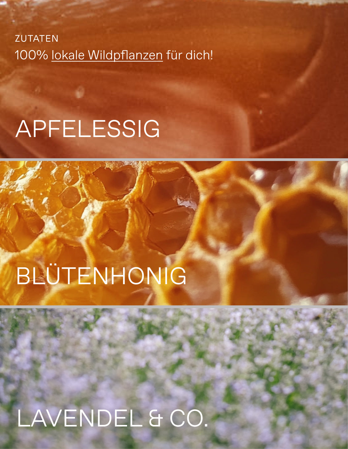 Oxymel Lavendel (MHD: 10.04.2026)