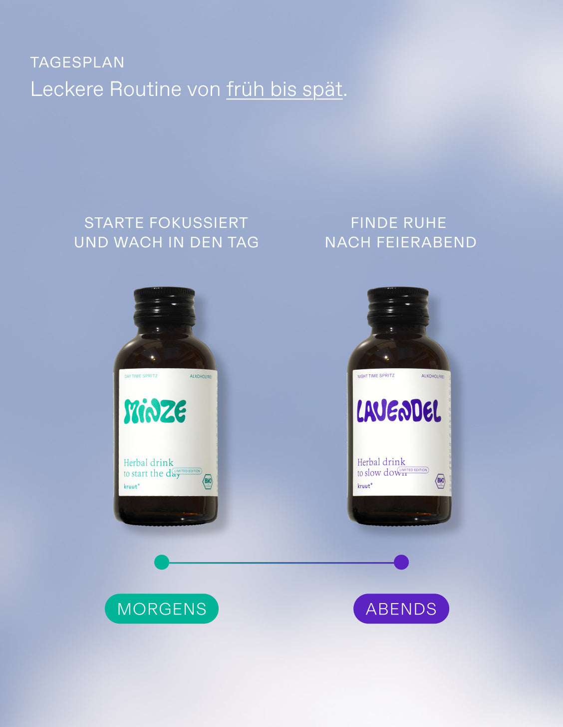 Oxymel Lavendel (MHD: 10.04.2026)