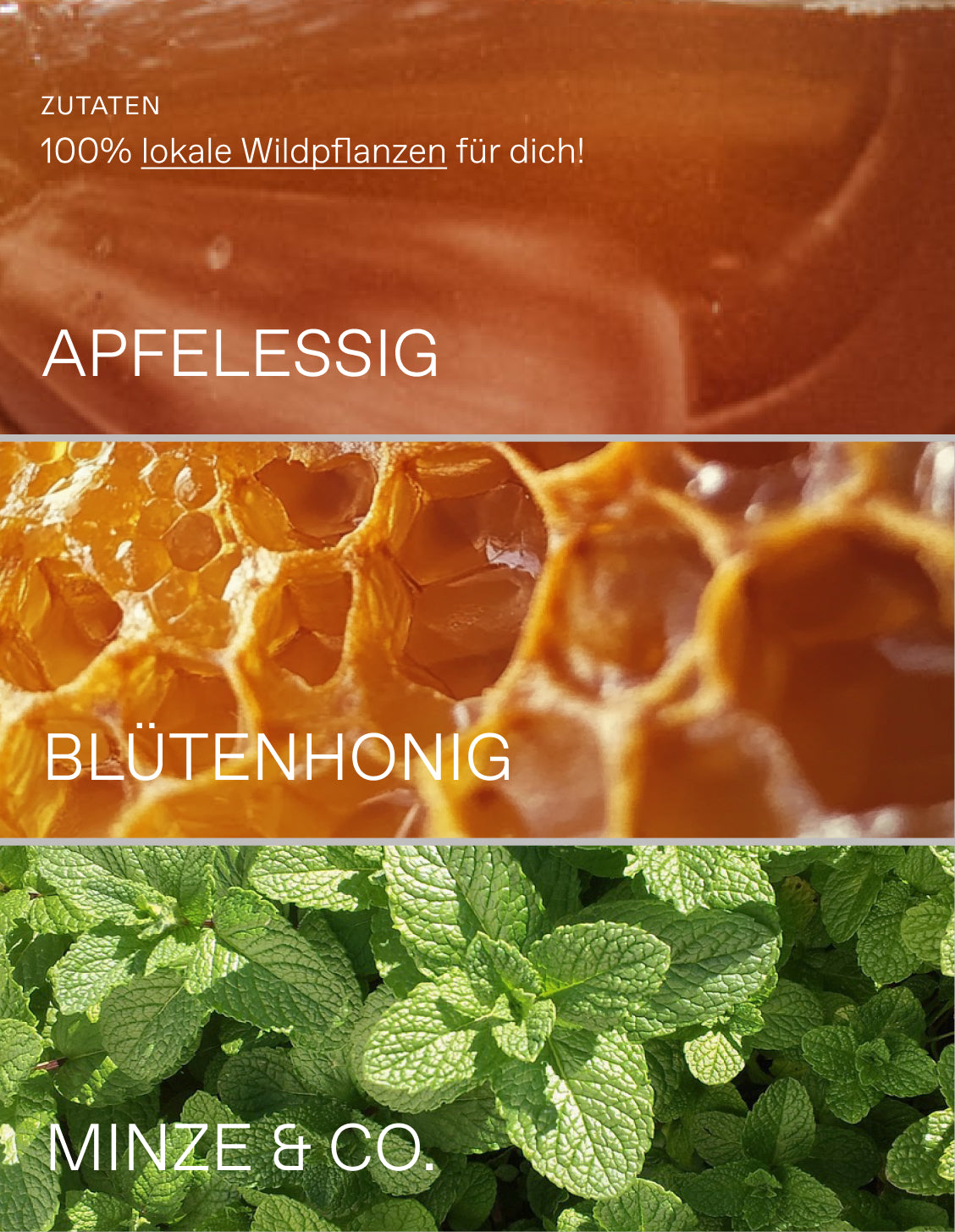 Oxymel Minze (MHD: 10.04.2026)