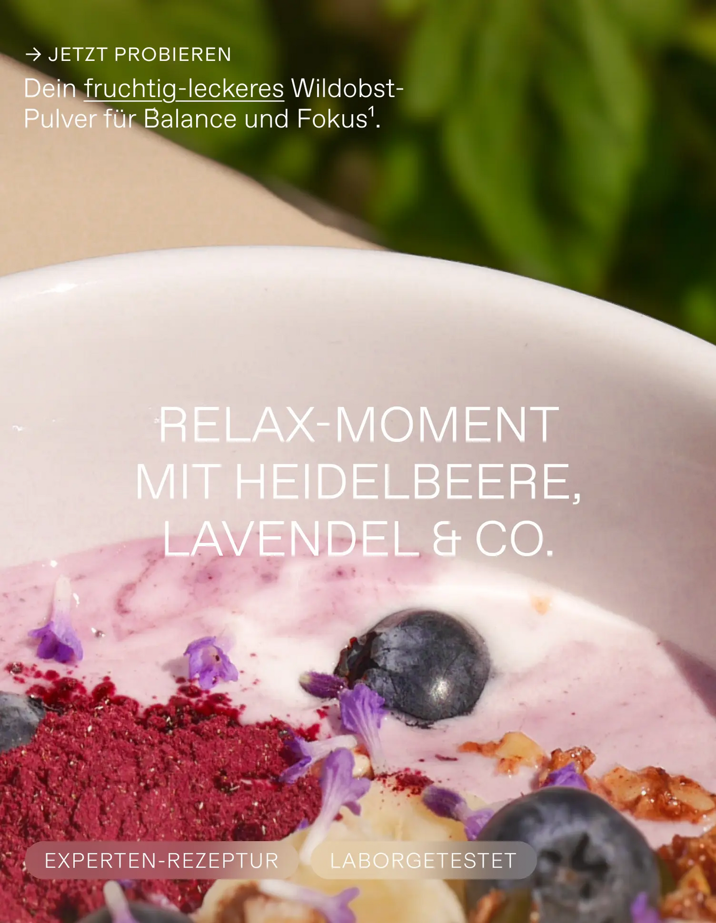 Wildpflanzenpulver Daily Berries