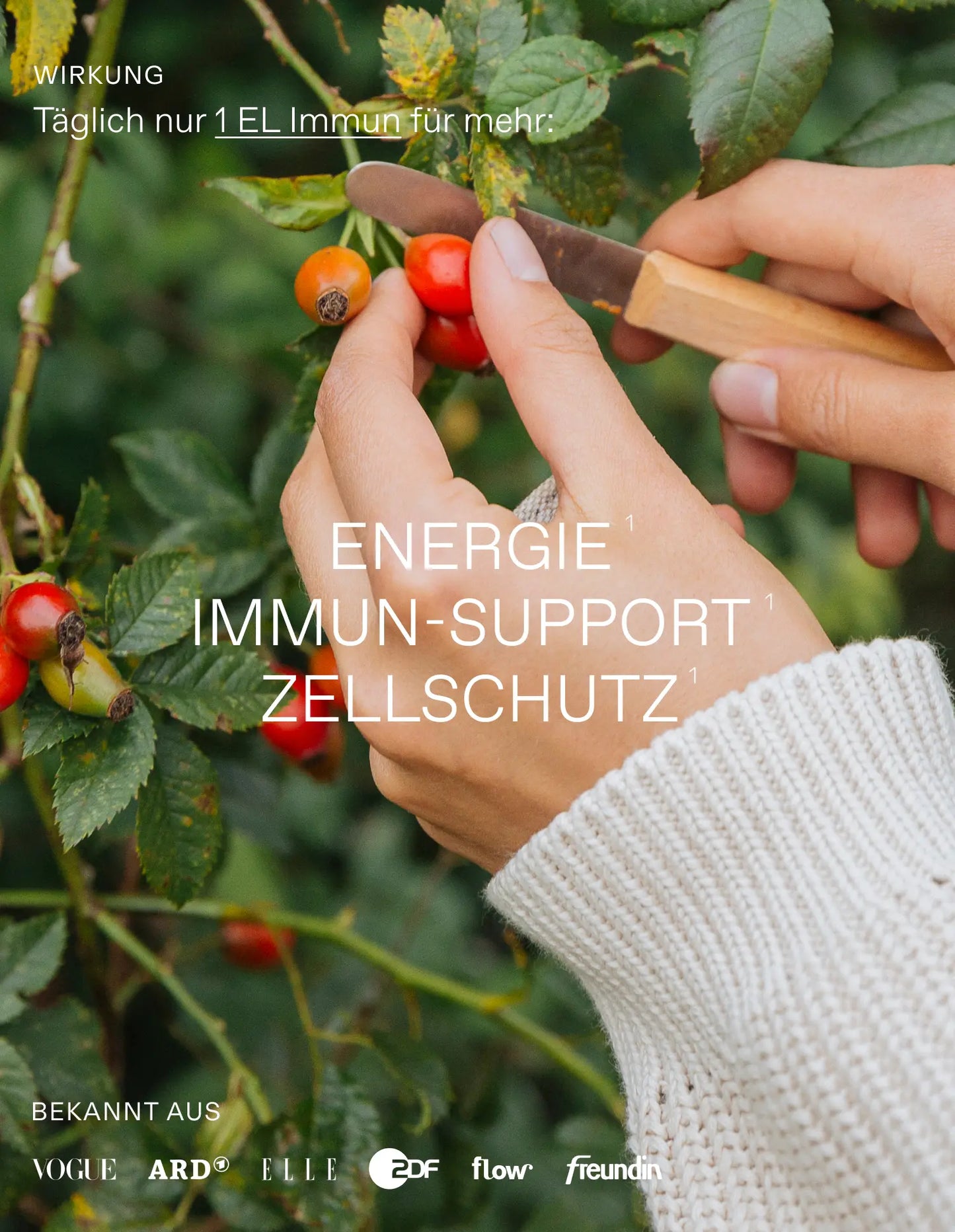 Oxymel Immun