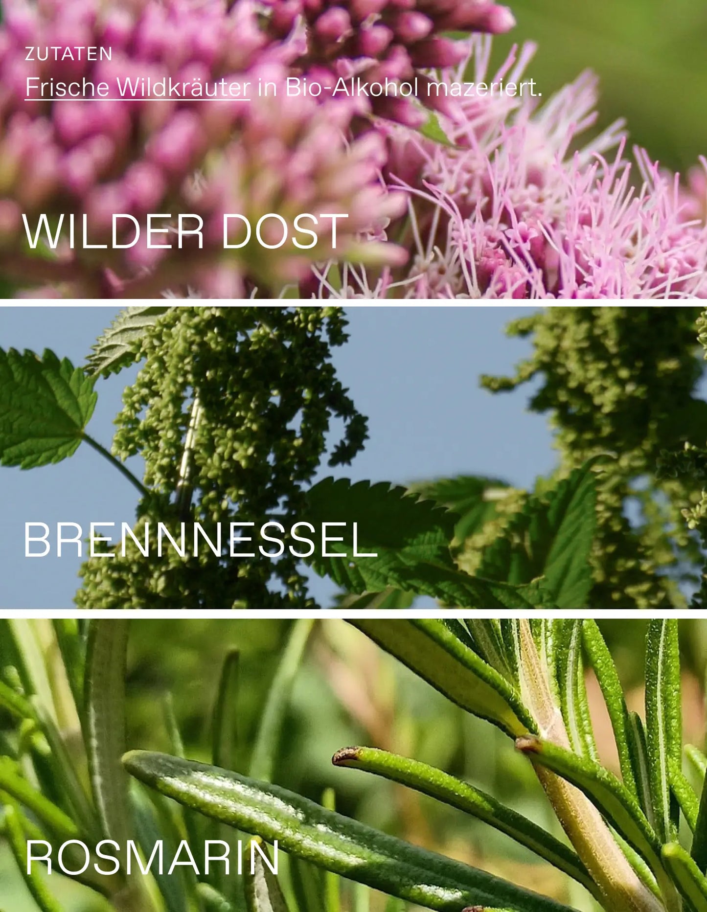 Tinktur Green Start