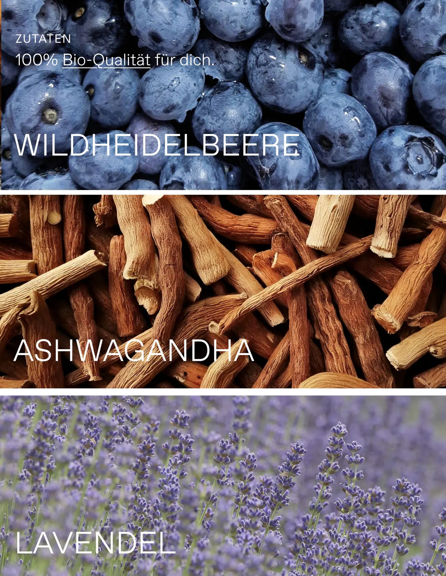 Wildpflanzenpulver Daily Berries